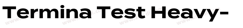 Termina Test Heavy字体转换